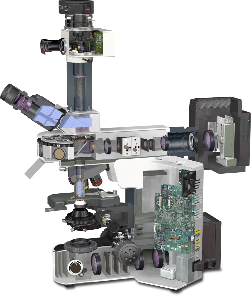Olympus BX51 Microscope Lightpath